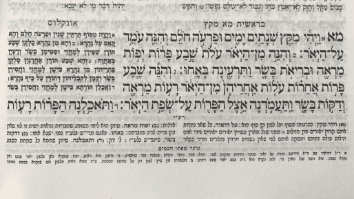 חלום מגשים חלום - על פרשת השבוע "מקץ"