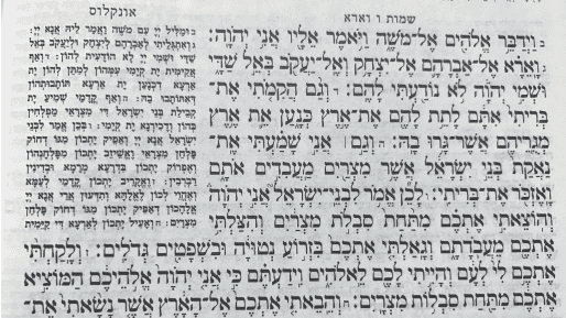 'טרור יחידים'? אין חיה כזו! - על פרשת השבוע "וארא"