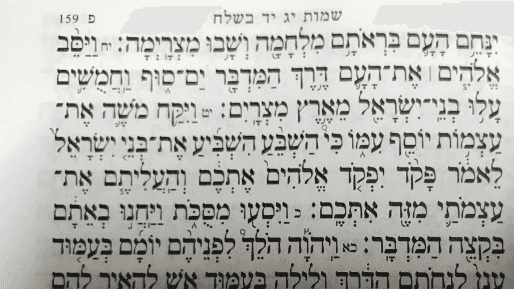 יש מילקי גם במצרים? על פרשת בשלח