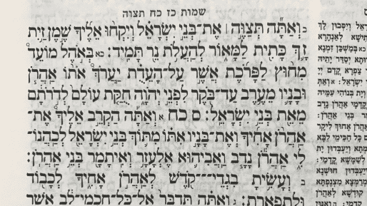מנהיג אמתי - על פרשת השבוע ״תצוה״