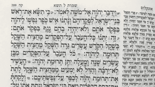 ״תצא בחוץ״ - על פרשת השבוע ״כי תשא״