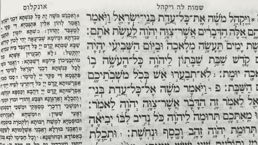 השבת אינה ״סוף שבוע״ - על פרשת ויקהל פקודי