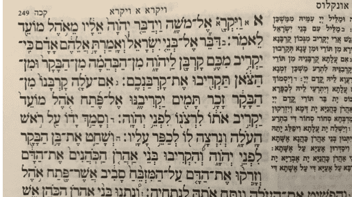 אתה קראת לי! על פרשת השבוע ״ויקרא״