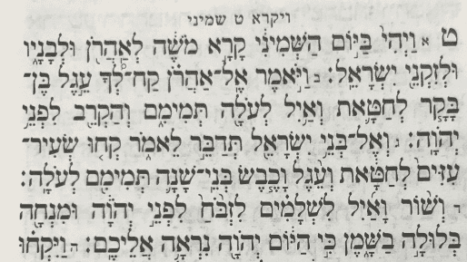 לא נוסף חטא חדש - פרשת השבוע ״שמיני״