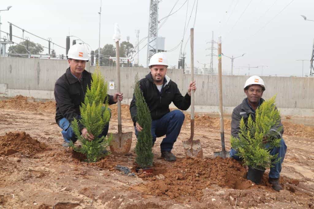 ט"ו בשבט בחברת החשמל