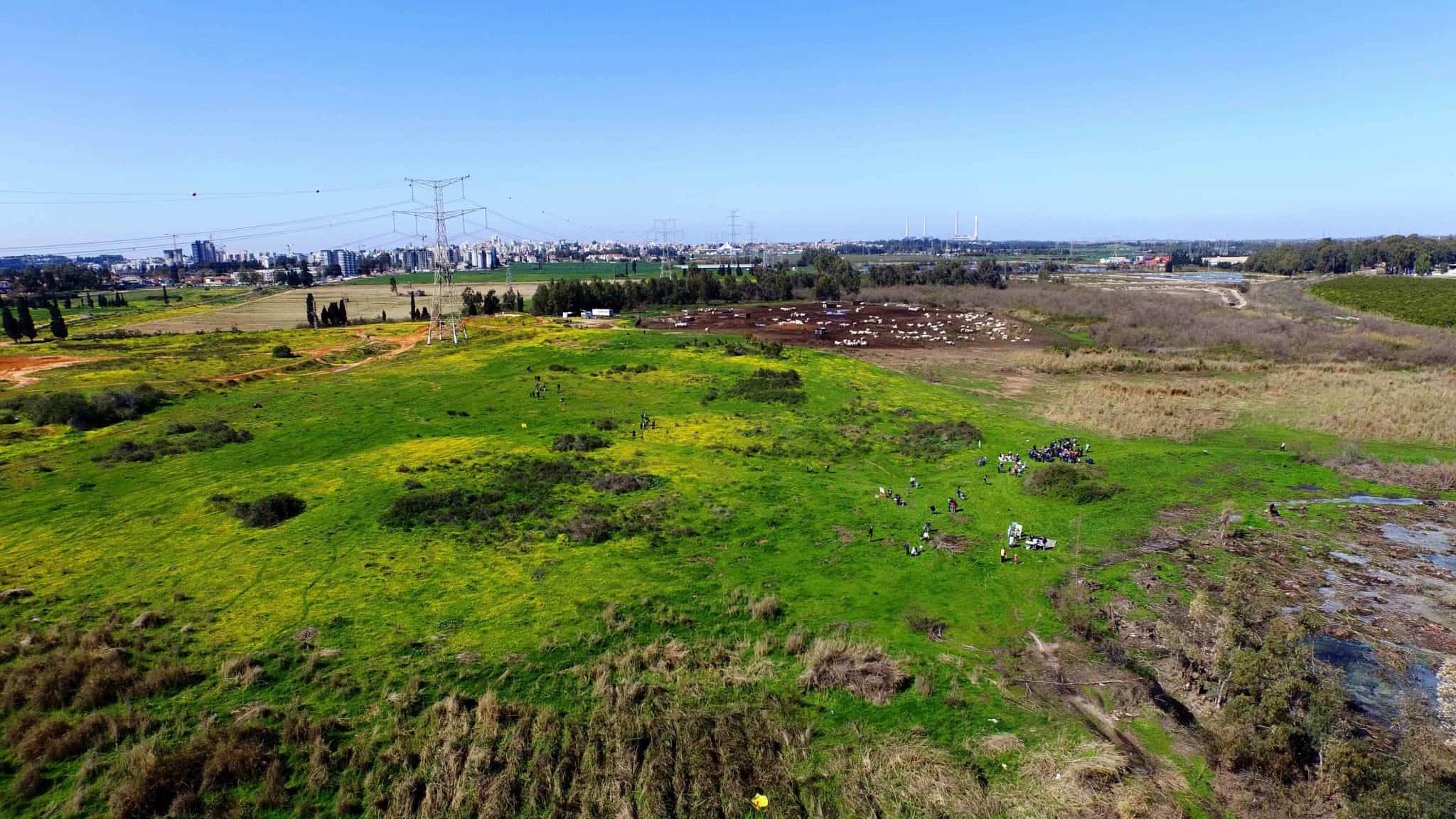 קהילת חדרה והסביבה של החברה להגנת הטבע תערוך הפנינג בבריכת החורף שבביצת זיתא