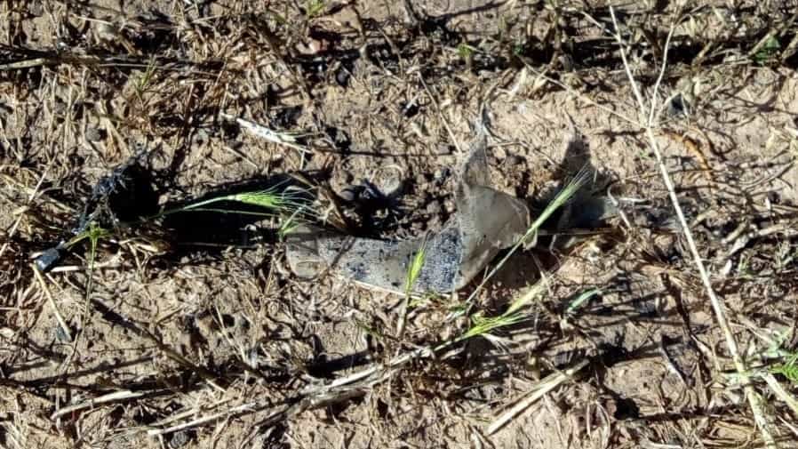 טרור בלוני התעברה נמשך: שריפה נוספת פרצה בשטח מושב בנגב הצפוני - מערבי