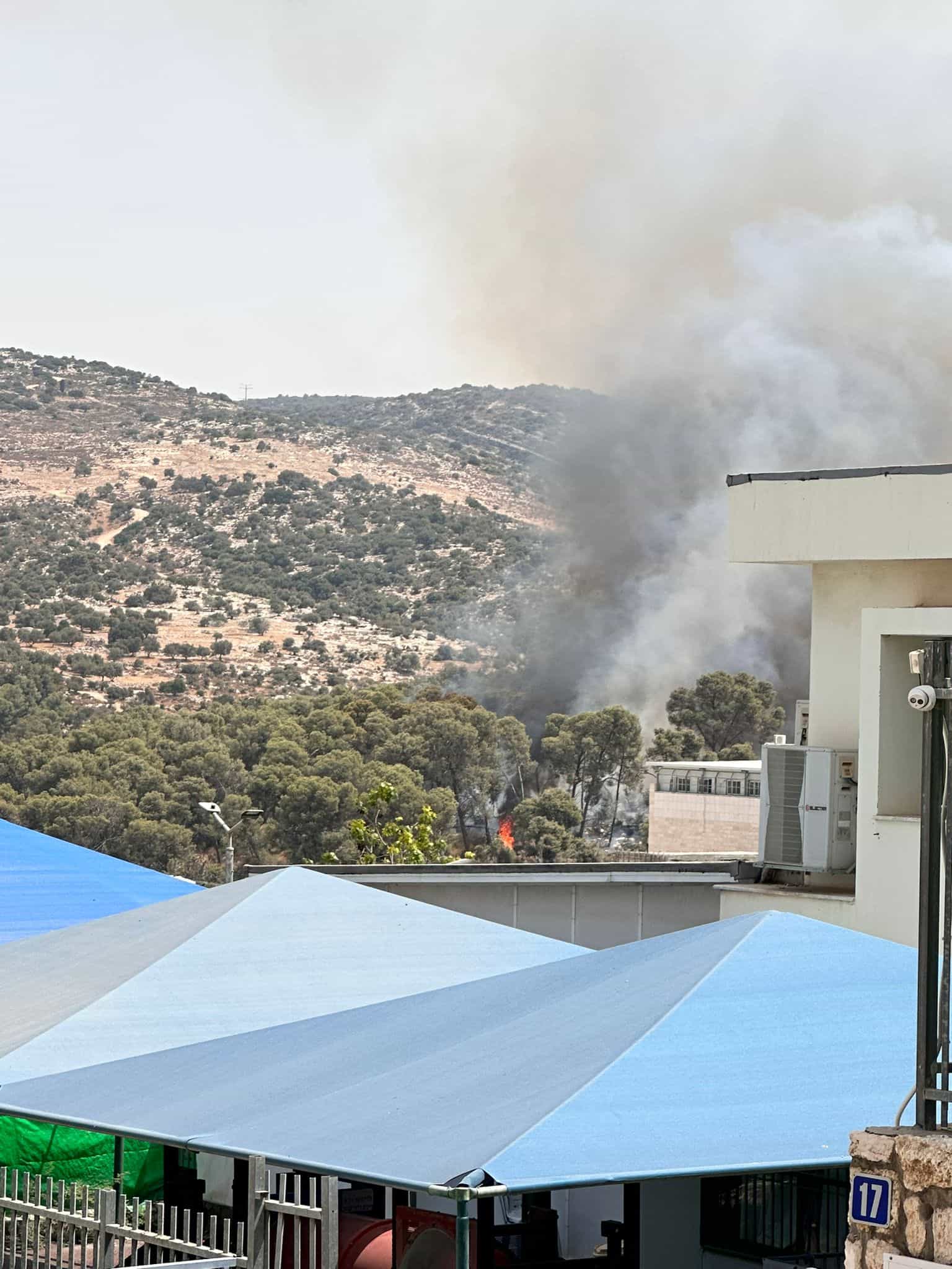שריפה פרצה ביער זנוח סמוך לבית שמש, מטוסי כיבוי הוזנקו