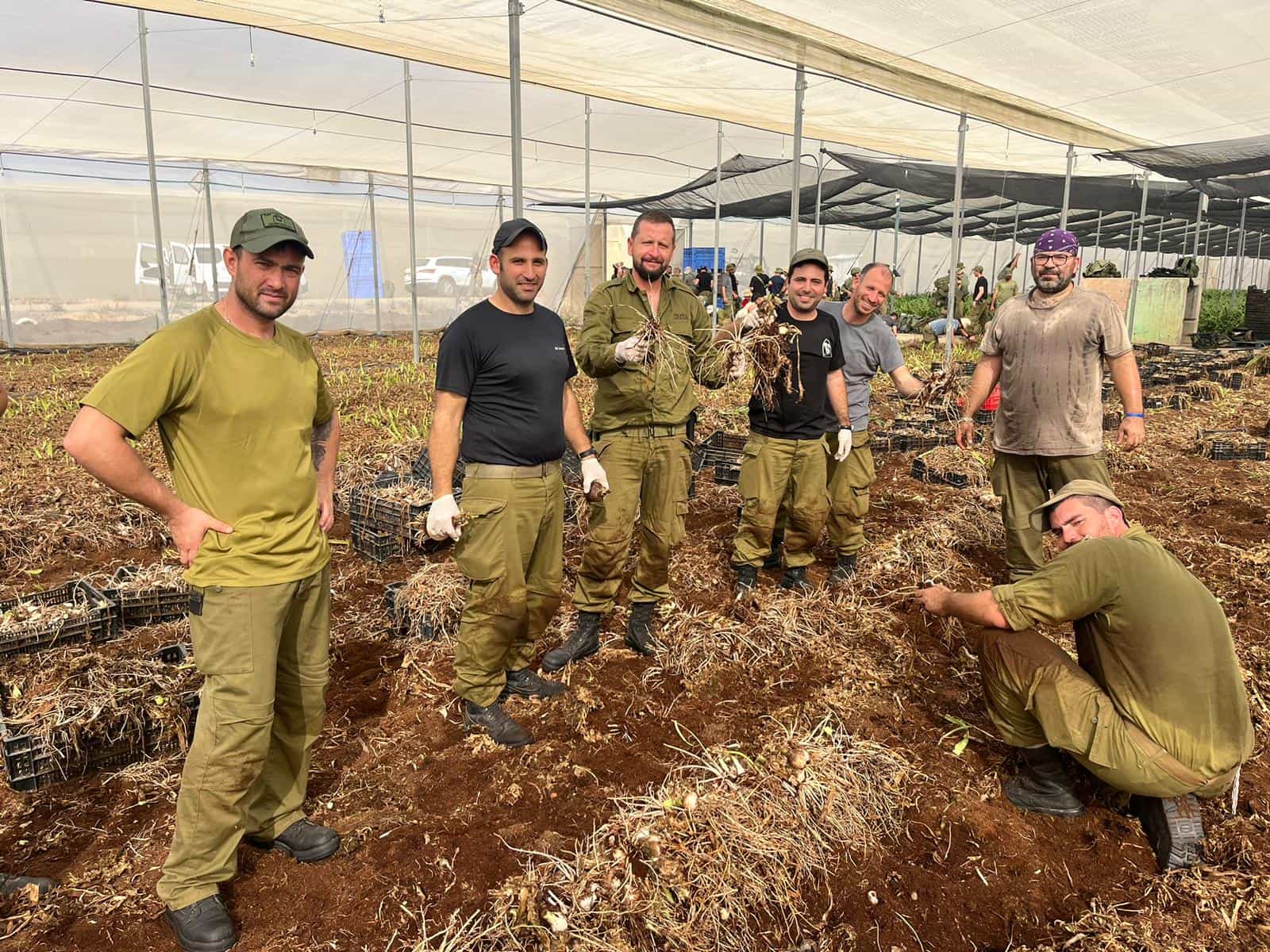 צפו בגדוד המילואים 969 מתנדב יחד עם חקלאי העוטף