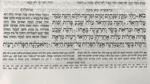 חלום מגשים חלום - על פרשת השבוע "מקץ"