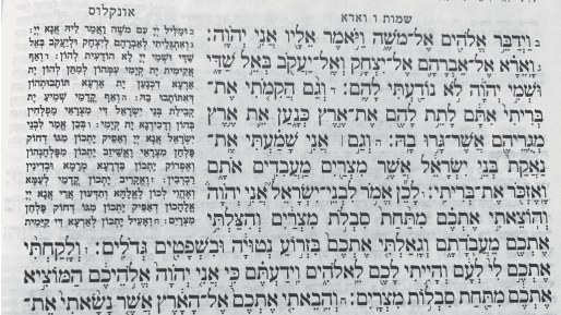 'טרור יחידים'? אין חיה כזו! - על פרשת השבוע "וארא"