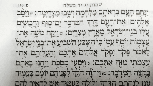 יש מילקי גם במצרים? על פרשת בשלח
