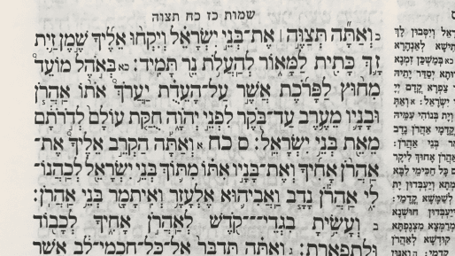 מנהיג אמתי - על פרשת השבוע ״תצוה״