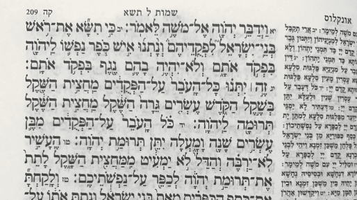 ״תצא בחוץ״ - על פרשת השבוע ״כי תשא״