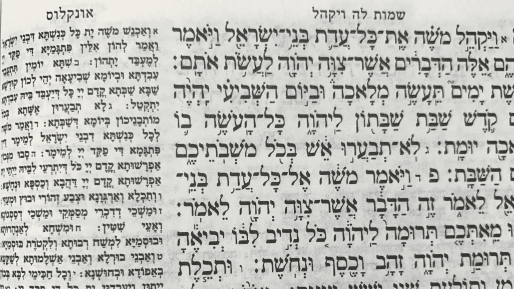 השבת אינה ״סוף שבוע״ - על פרשת ויקהל פקודי