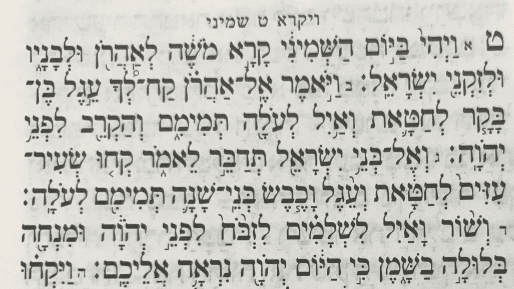 לא נוסף חטא חדש - פרשת השבוע ״שמיני״
