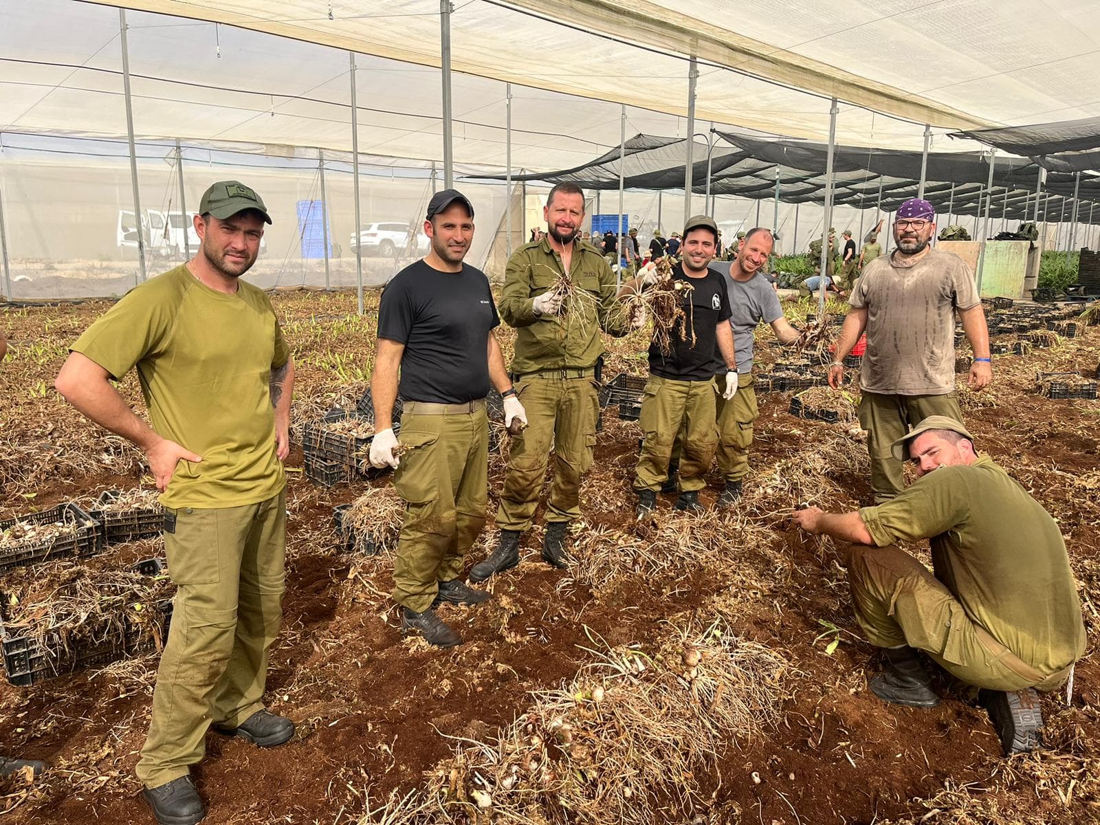 צפו בגדוד המילואים 969 מתנדב יחד עם חקלאי העוטף